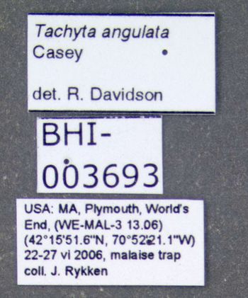 Media type: image;   Entomology 602260 Aspect: labels